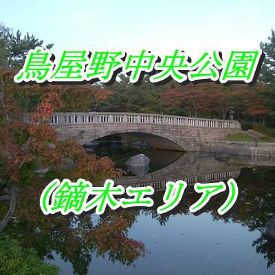 鳥屋野中央公園(鏑木エリア)の石橋と池