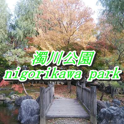 濁川公園の木橋と池