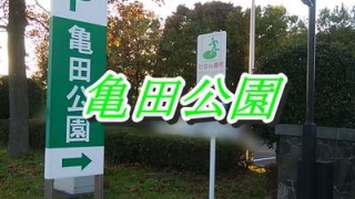 亀田公園の入口の看板