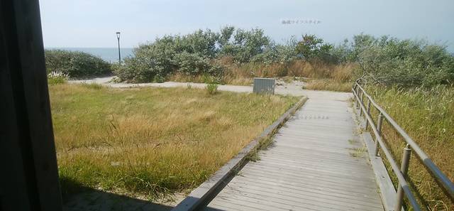 なぎさふれあいセンターの先の浜へ続く木の道