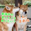 Thumbnail of related posts 165