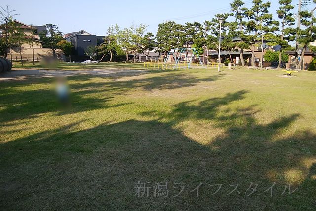 青山新町公園の全体像。とても広い