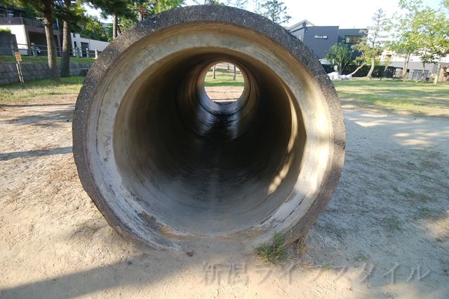 青山新町公園の土管を覗くとこんな感じ
