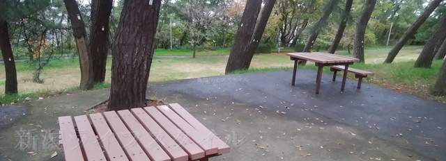 寺尾中央公園内の林の中にあるベンチとテーブル