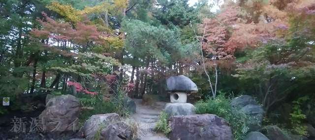 鳥屋野中央公園(鏑木エリア)の日本庭園っぽい灯篭と紅葉