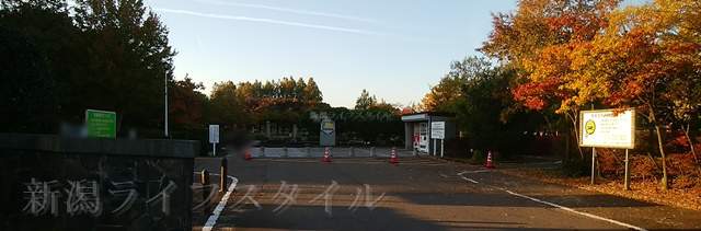 亀田公園の駐車場
