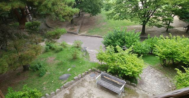 亀田公園の展望台から公園を眺めた風景その3