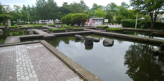 亀田公園の池