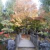 濁川公園の橋と紅葉